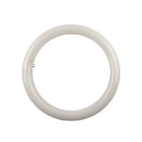 IPERLUX LED CIRCOLINA G10Q 19W