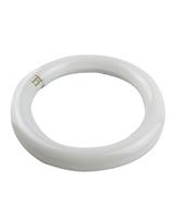 IPERLUX LED CIRCOLINA G10Q 14W